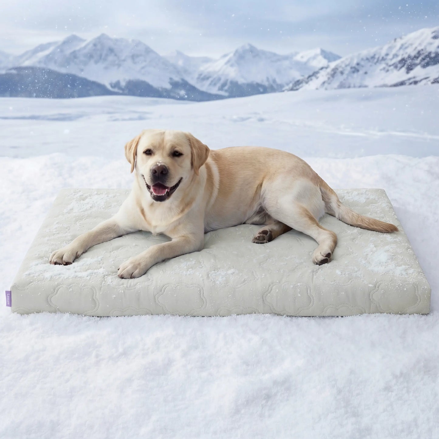 Bedsure Cooling Pet Mat for Dogs – Q-MAX>0.4 Washable Non-Slip Summer Pad for Large Dogs, No Gel or Electricity Required