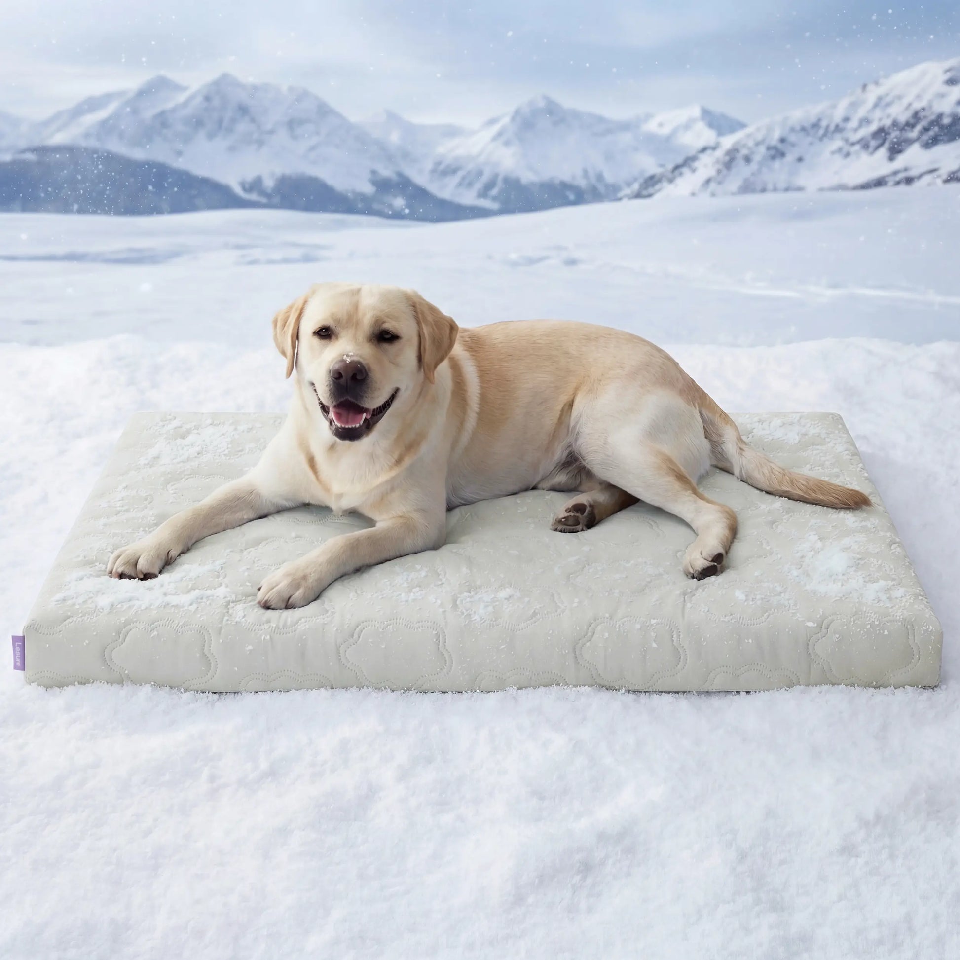Bedsure Cooling Pet Mat for Dogs – Q-MAX>0.4 Washable Non-Slip Summer Pad for Large Dogs, No Gel or Electricity Required