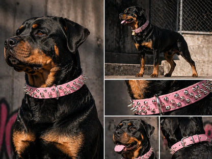 Dog Collar | Spiked Anti-Bite Punk Collar for Medium & Large Dogs | Heavy-Duty & Durable Pet Neck Ring | Cool Design for Doberman, Pitbull, German Shepherd | Fashion Statement for Dogs & Cats